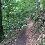 Stadt