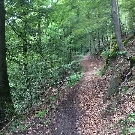 Stadt